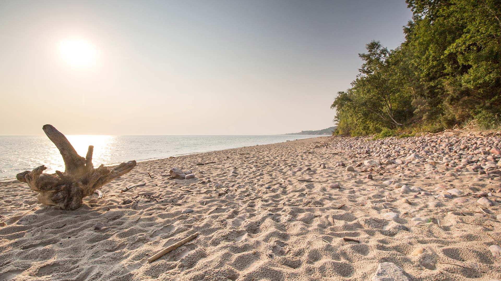 ROSEVIA Baltic Sea Apartments comfortable accommodation Poland
