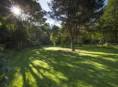 ROSEVIA Baltic Sea Apartments comfortable accommodation Poland